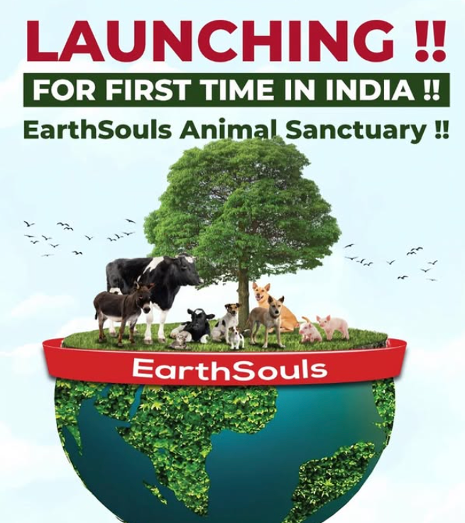 EarthSouls Animal Sanctuary Launch