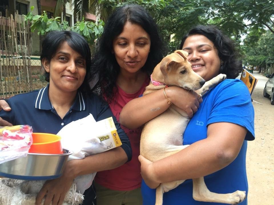 Puppy rescue — first companions