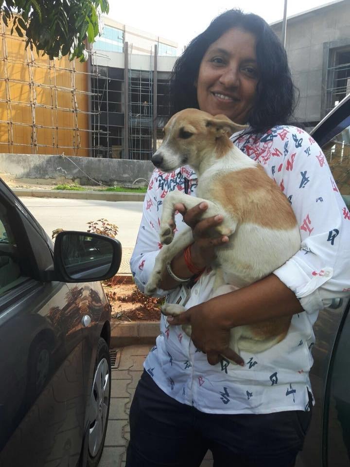 India Unites for Animals — Blue Cross