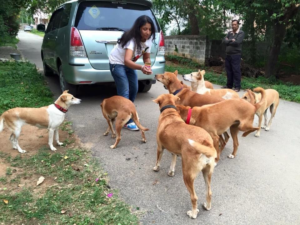 NDTV media coverage at animal rights protest