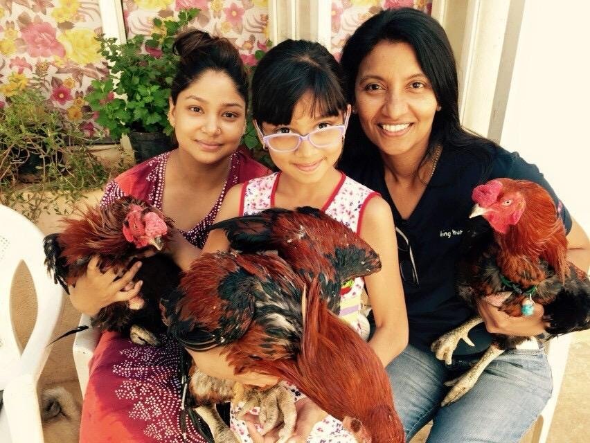 Jeny feeding community dogs