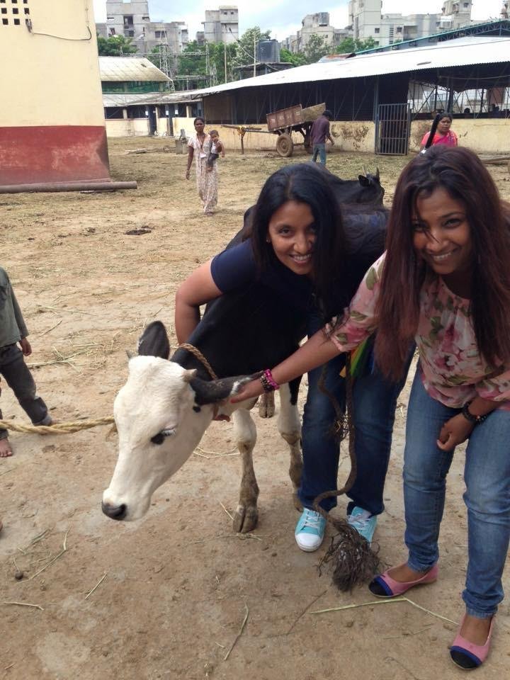 Compassion for all creatures — caring for a calf